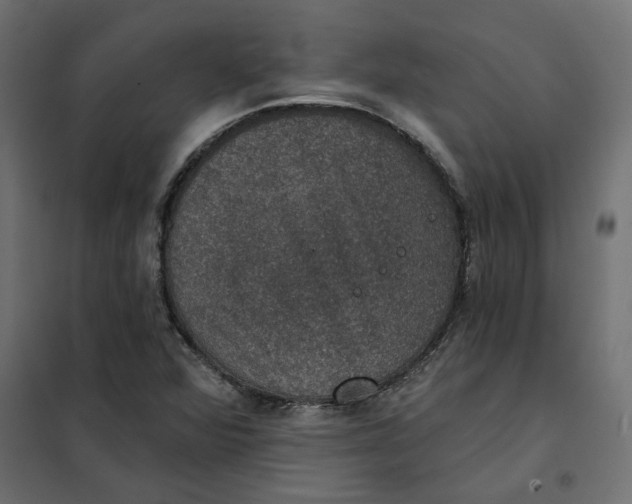 X0000102041360200808081825