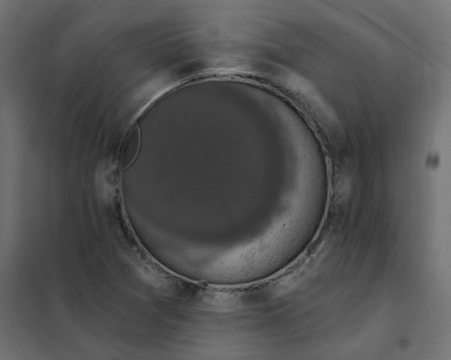 X0000102041361200808081825