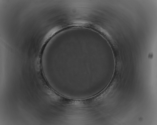 X0000102041362200808081825