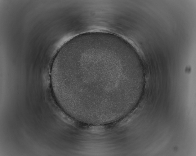 X0000102041363200808081825