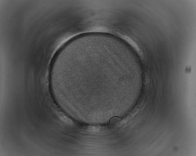 X0000102041364200808081825