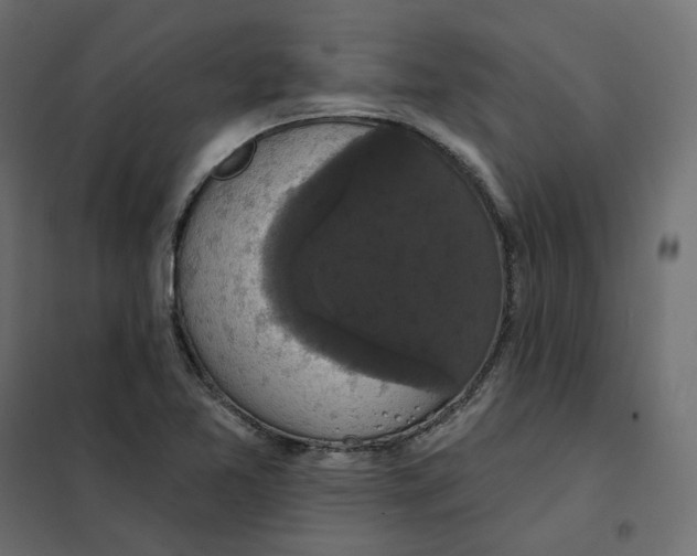 X0000102041365200808081825