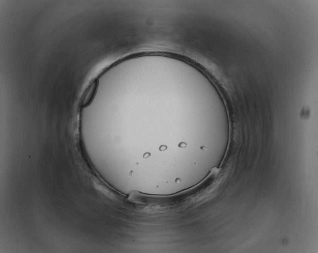 X0000102041366200808081825