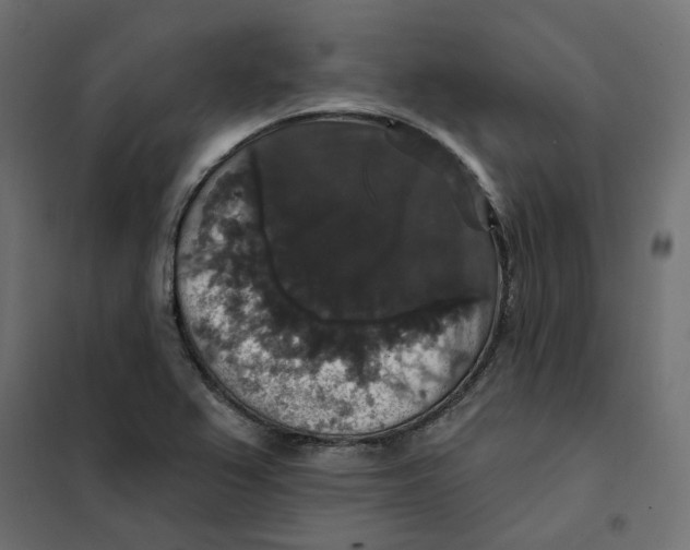 X0000102041367200808081825