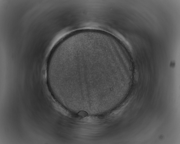 X0000102041368200808081825