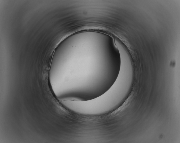 X0000102041369200808081825