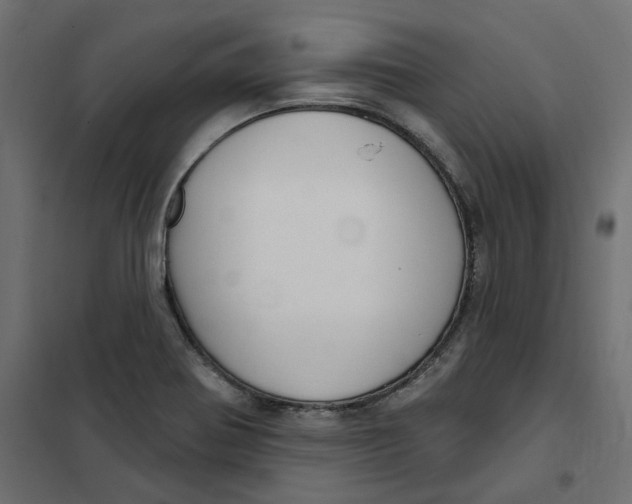 X0000102041370200808081825