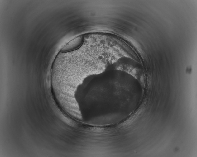 X0000102041371200808081825