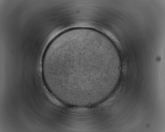 X0000102041372200808081825