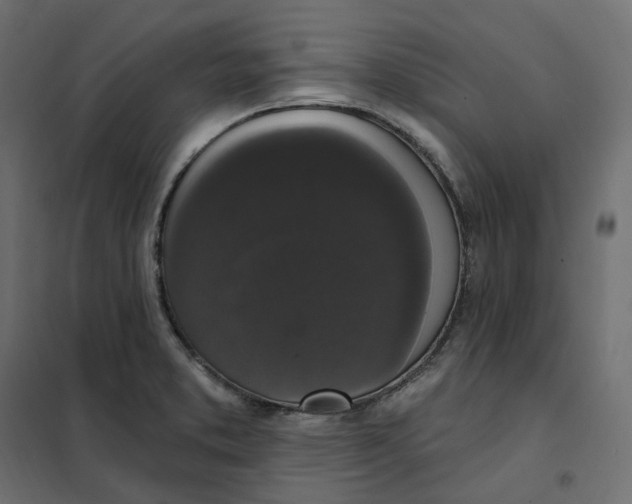 X0000102041373200808081825