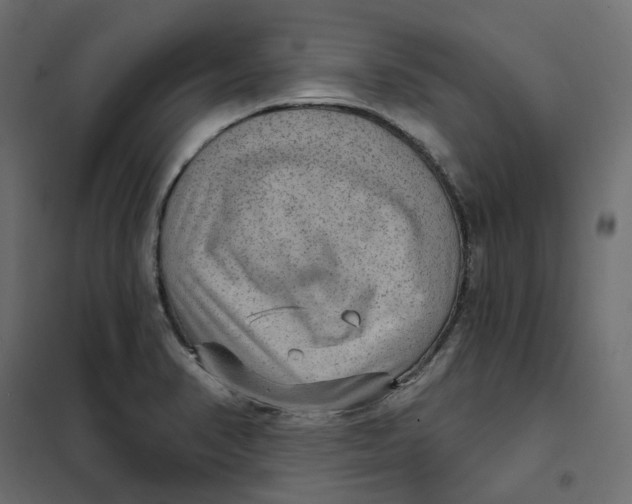 X0000102041374200808081825