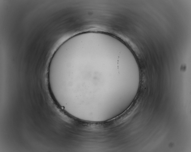 X0000102041375200808081825