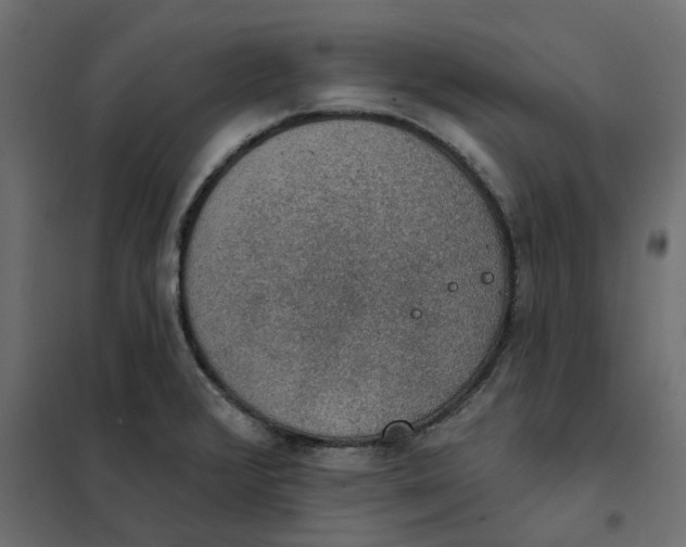 X0000102041376200808081825