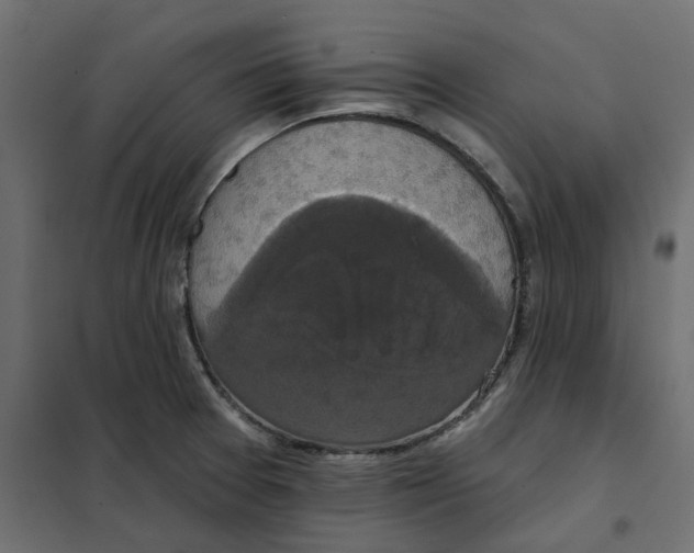 X0000102041377200808081825