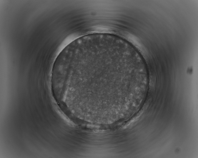 X0000102041378200808081825