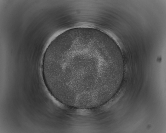 X0000102041379200808081825