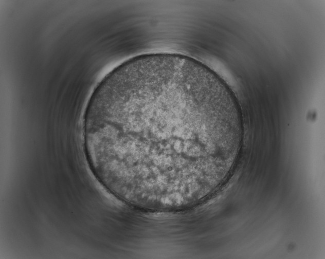 X0000102041380200808081825