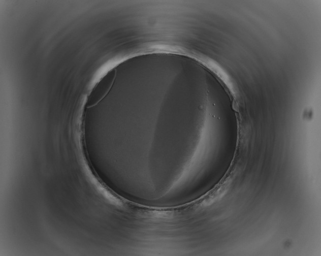 X0000102041381200808081825