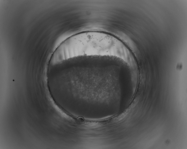 X0000102041382200808081825