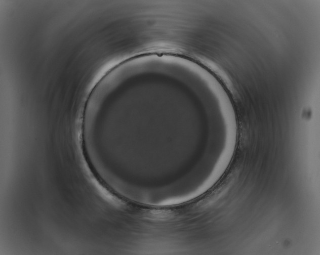 X0000102041383200808081825