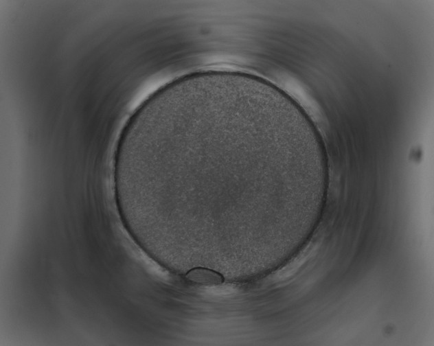 X0000102041384200808081825