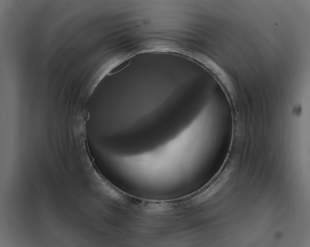 X0000102041385200808081825