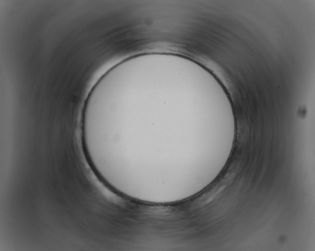 X0000102041387200808081825