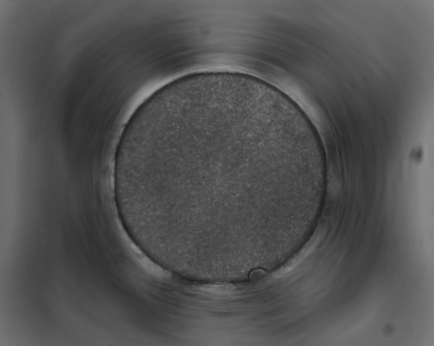 X0000102041388200808081825