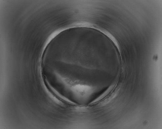 X0000102041389200808081825