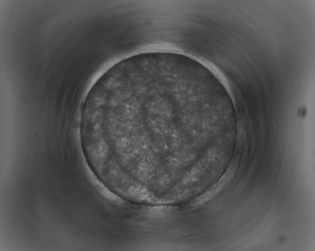 X0000102041390200808081825