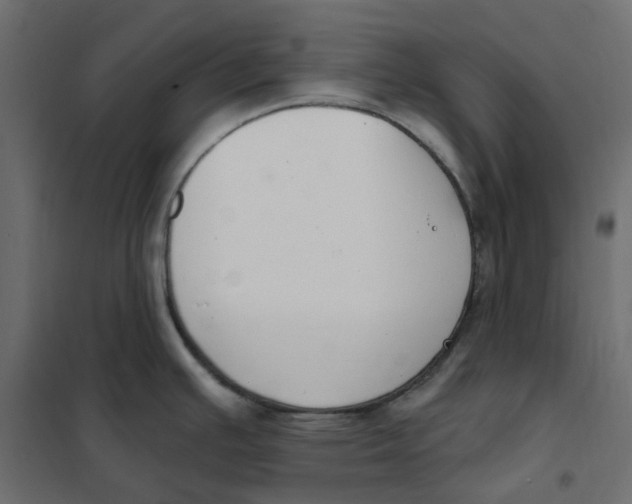 X0000102041391200808081825