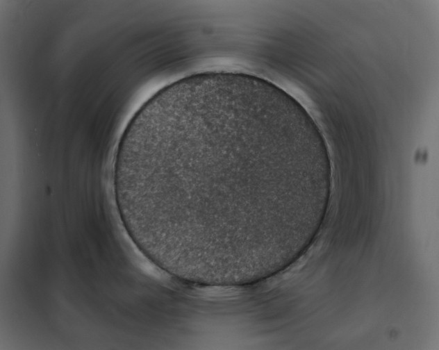 X0000102041392200808081825