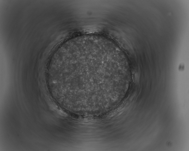 X0000102041393200808081824