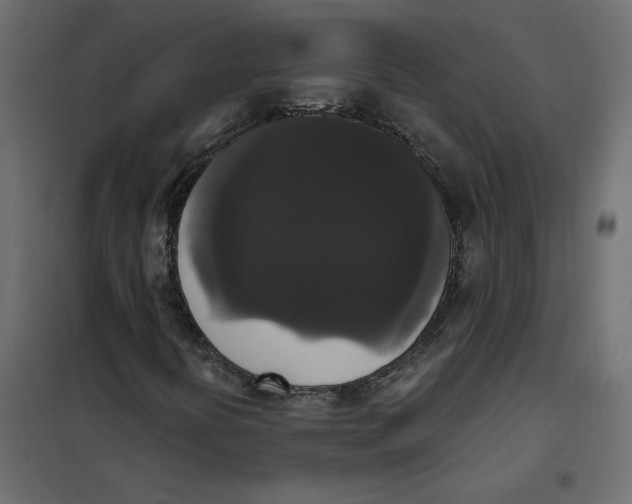 X0000102041394200808081824