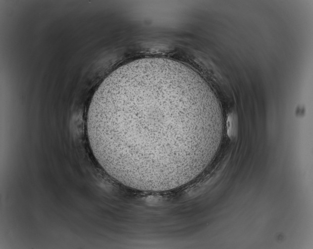 X0000102041395200808081824