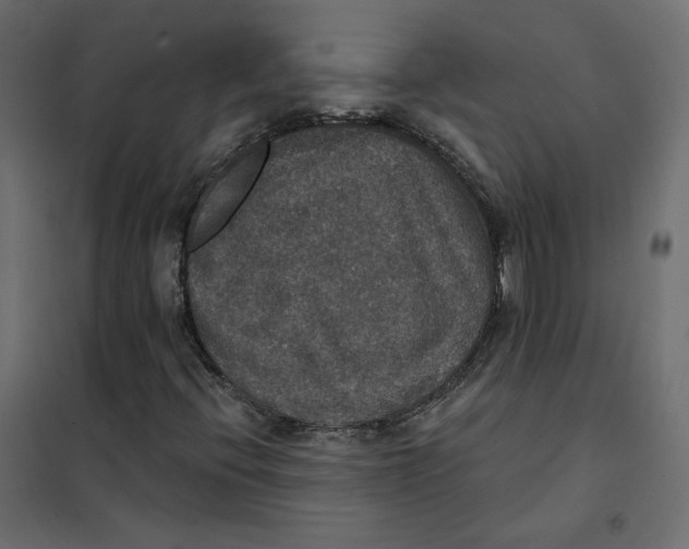 X0000102041396200808081824