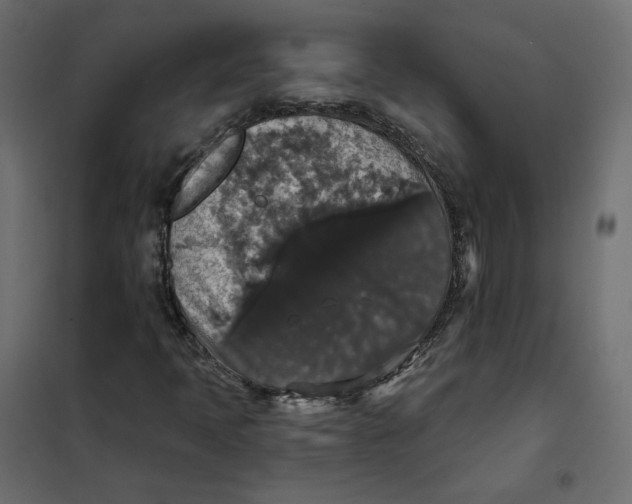 X0000102041397200808081824