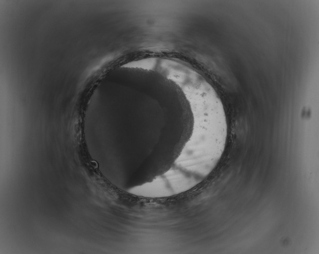 X0000102041398200808081824