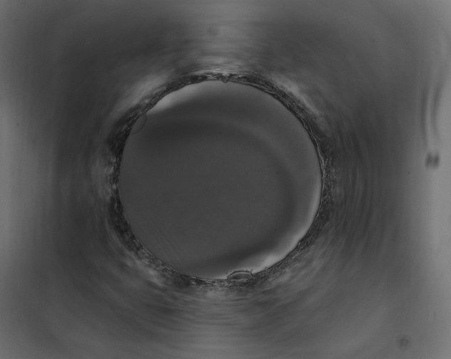 X0000102041399200808081824