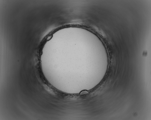 X0000102041400200808081824