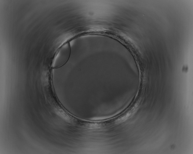 X0000102041401200808081824