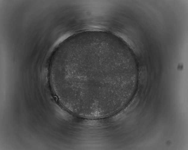 X0000102041402200808081824