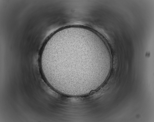 X0000102041404200808081824