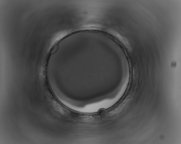 X0000102041405200808081824