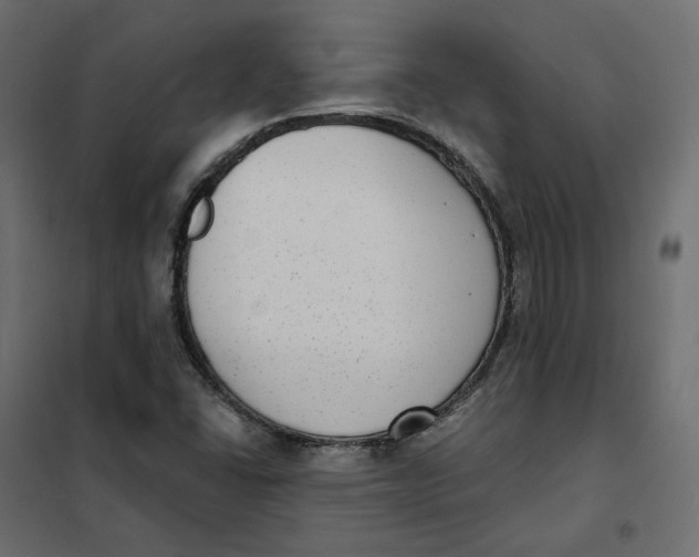 X0000102041406200808081824