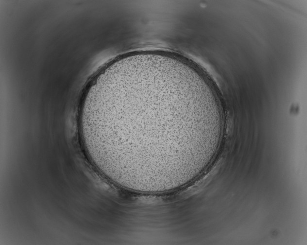 X0000102041407200808081824