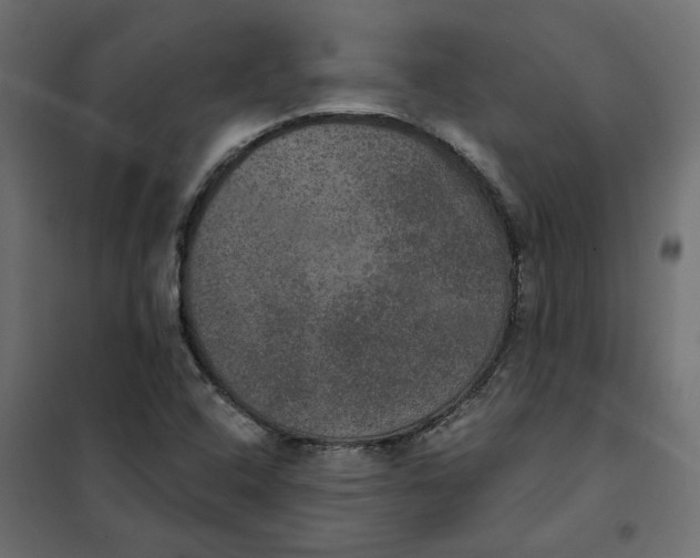 X0000102041408200808081824