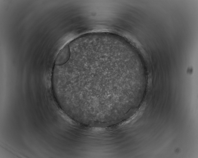 X0000102041409200808081824