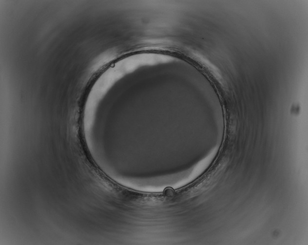 X0000102041411200808081824