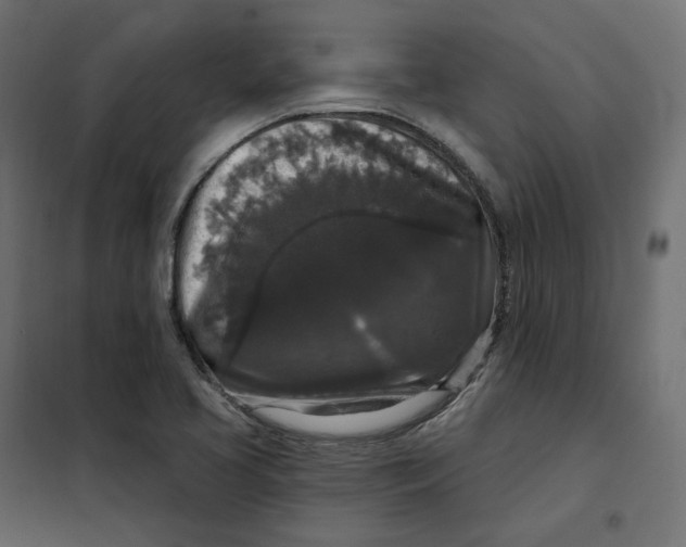 X0000102041413200808081824